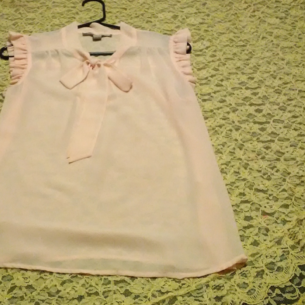 Sheer pink blouse